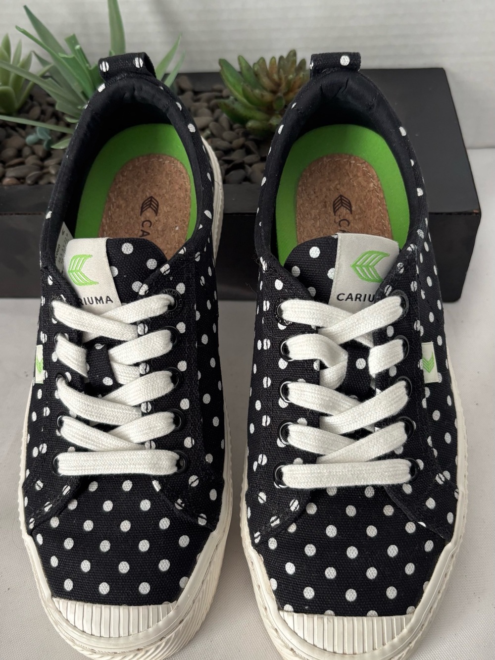 CARIUMA OCA LOW CANVAS BLACK POLKA DOT  SNEAKERS LACE UP.  SZ 6
